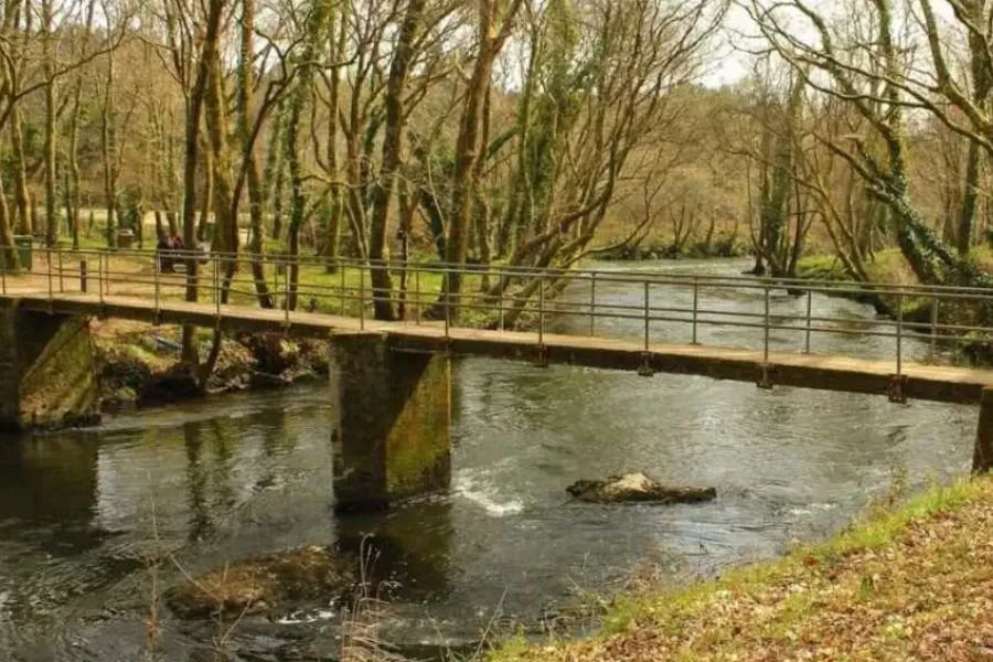 Una passerella sul fiume Tambre tra alberi spogli, vicino a Sigüeiro