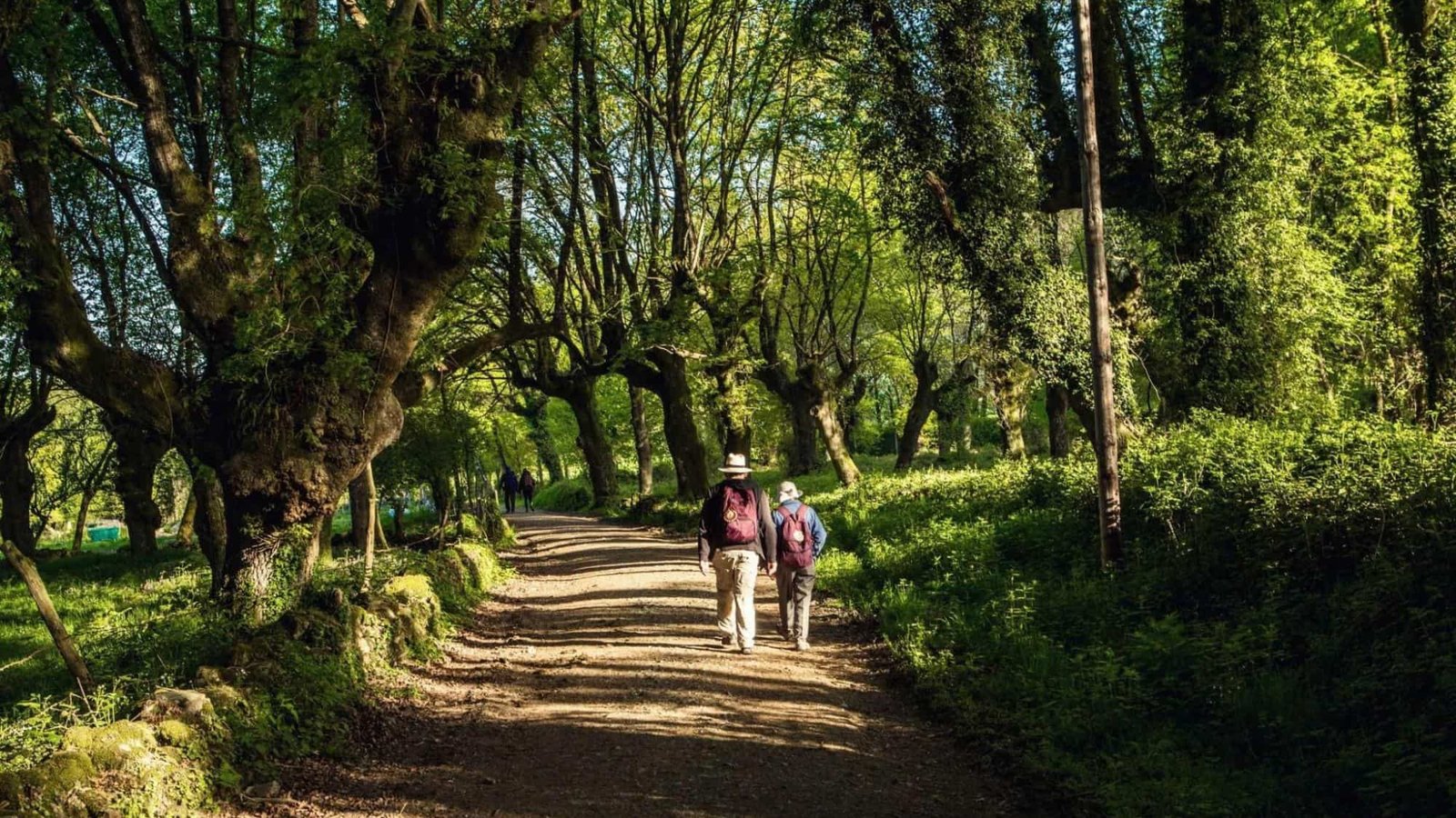 Camino Sarria a Santiago — Autoguiado