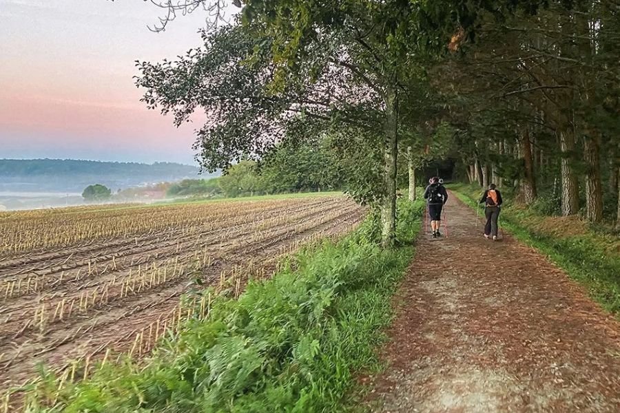 Dos peregrinos caminan por un sendero entre campos y árboles al amanecer, en la etapa de O Pedrouzo a Santiago