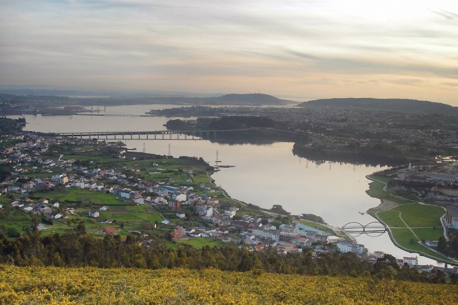 A ria de Ferrol ao entardecer, com as suas pontes, as encostas verdes e o tojo amarelo em primeiro plano
