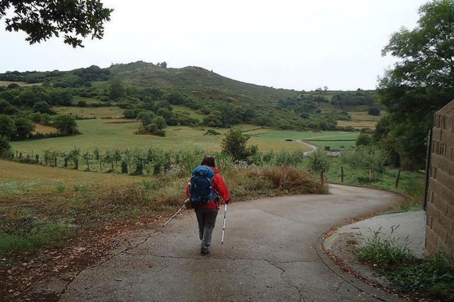 A pilgrim with trekking poles walks a country road between meadows and green Asturian hills