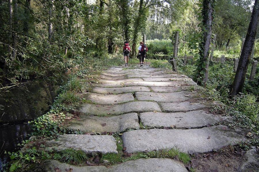 Two pilgrims walking on old granite paving stones through green woodland between Tui and O Porriño